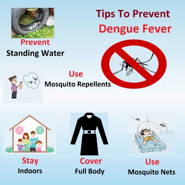 Dengue fever: Symptoms, Causes, Prevention and Homeopathic Treatment ...